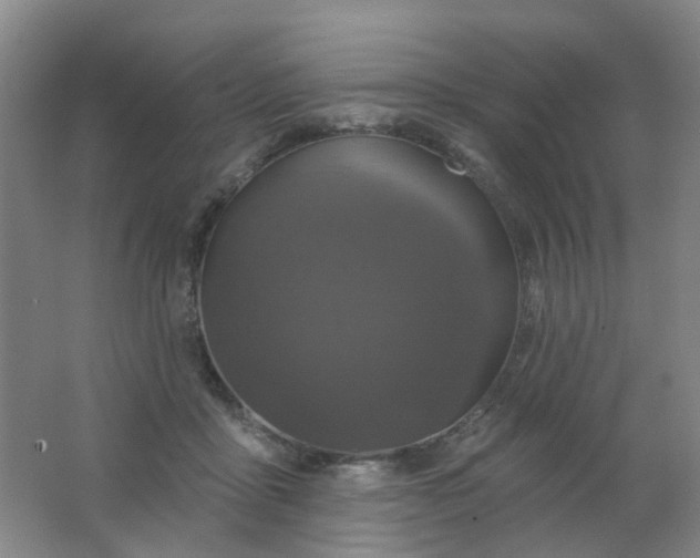 X0000062140411200512231510