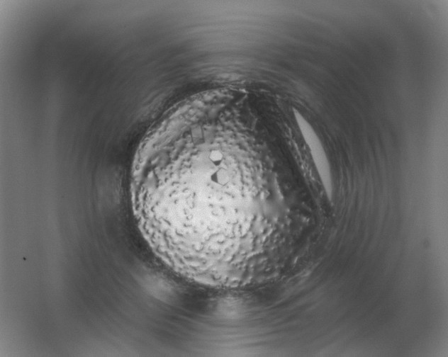 X0000062140412200512231510