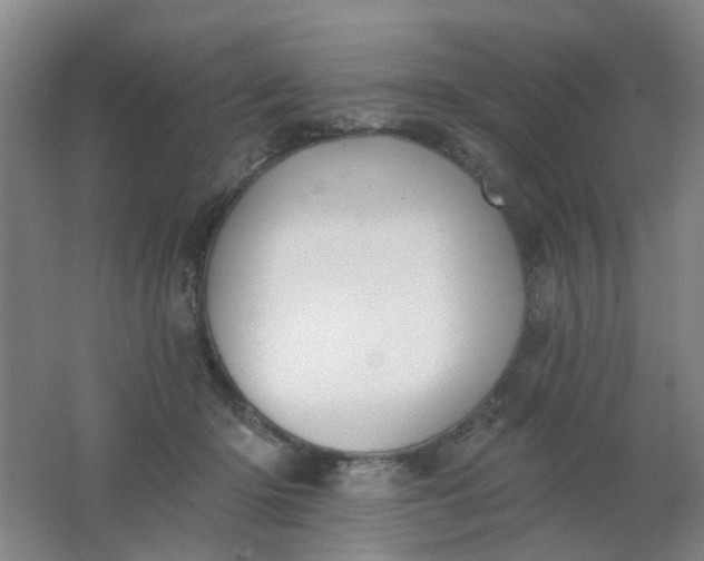 X0000062140414200512231510