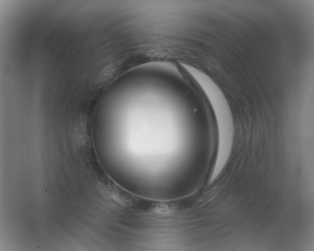 X0000062140416200512231510