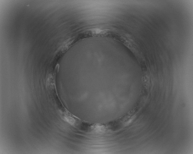 X0000062140419200512231510