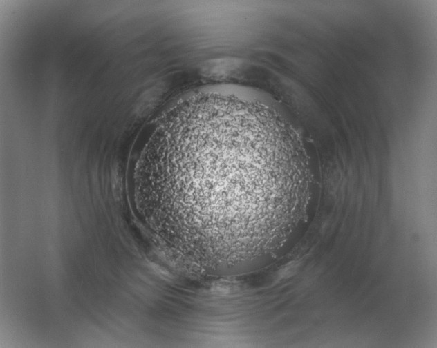 X0000062140420200512231510