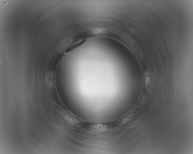 X0000062140421200512231510