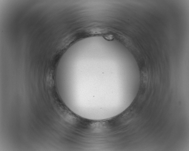 X0000062140422200512231510