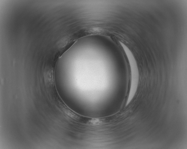 X0000062140425200512231510