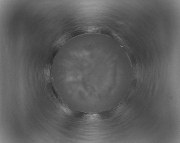 X0000062140427200512231510