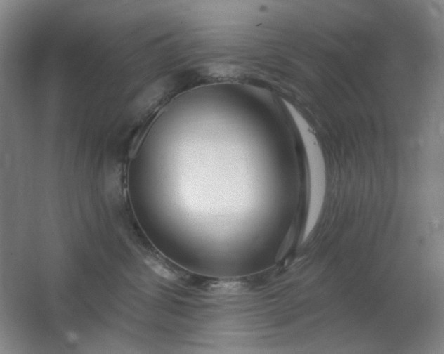 X0000062140428200512231510