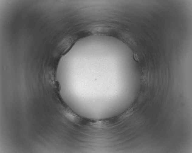 X0000062140430200512231510