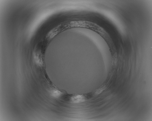 X0000062140431200512231510