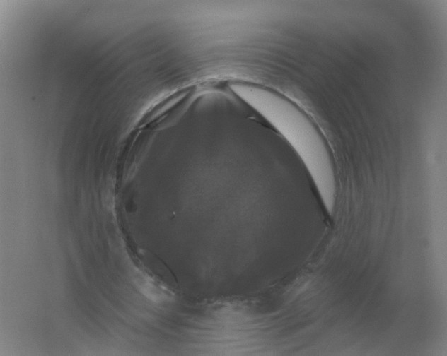 X0000062140434200512231509