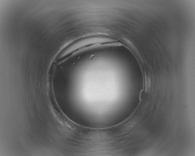 X0000062140435200512231509