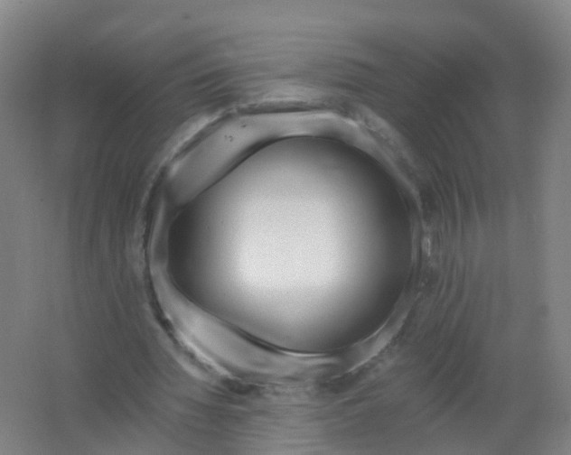 X0000062140436200512231509