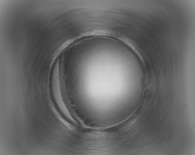 X0000062140437200512231509