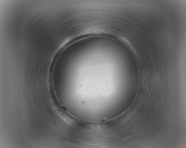 X0000062140439200512231509