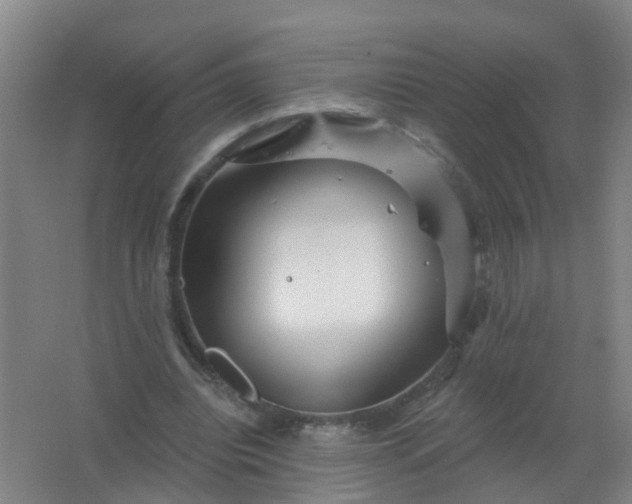 X0000062140440200512231509