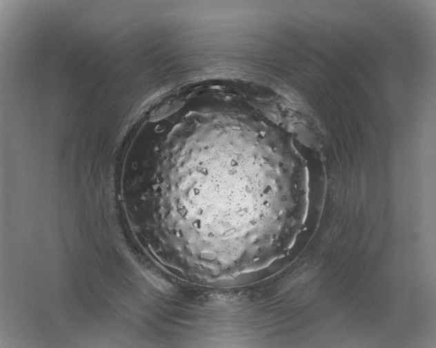 X0000062140442200512231509