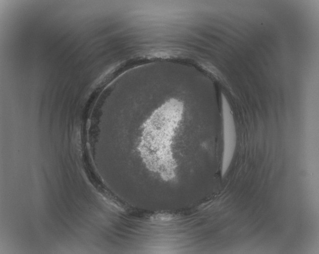 X0000062140444200512231509