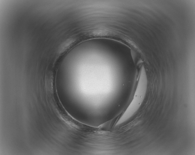 X0000062140446200512231509