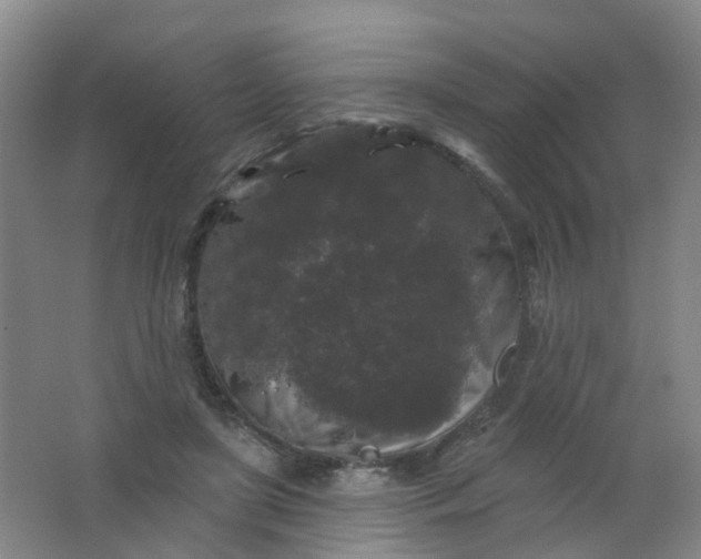 X0000062140451200512231509