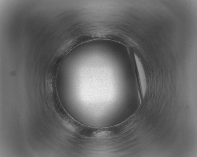 X0000062140452200512231509