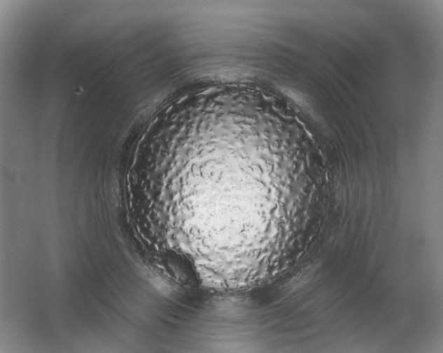 X0000062140453200512231509