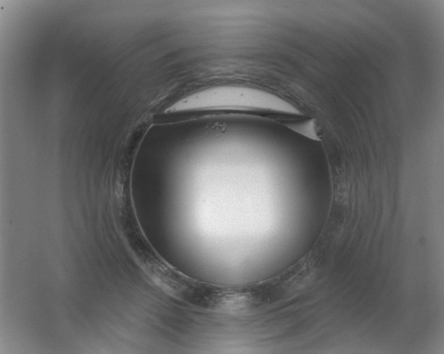 X0000062140456200512231510