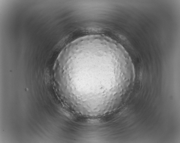 X0000062140457200512231510