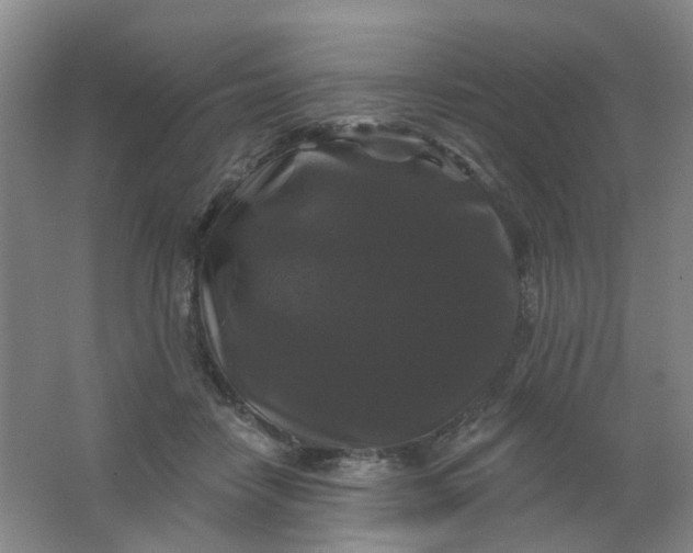 X0000062140458200512231510