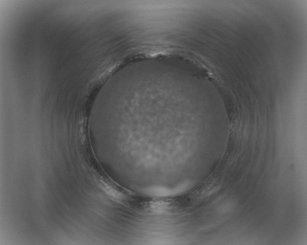 X0000062140462200512231510