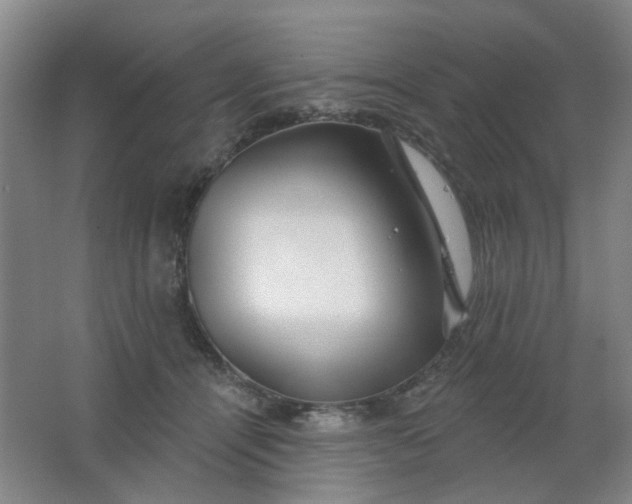 X0000062140464200512231510