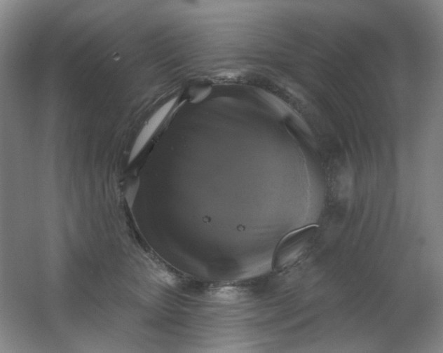 X0000062140467200512231510