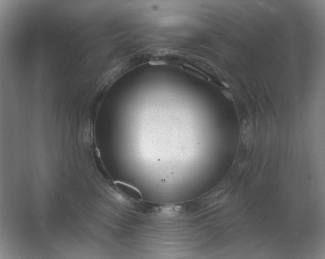 X0000062140474200512231510