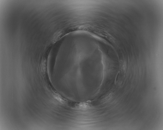 X0000062140475200512231510