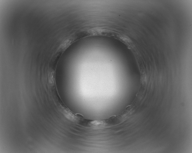 X0000062140477200512231510