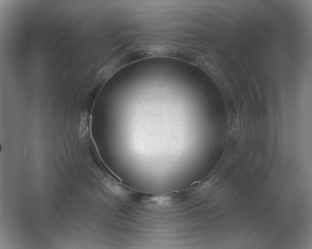 X0000062140478200512231510