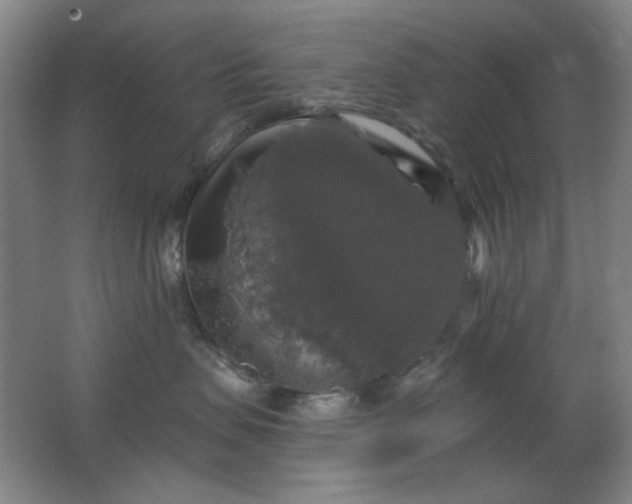 X0000062140479200512231510