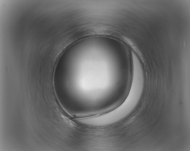 X0000062140481200512231509