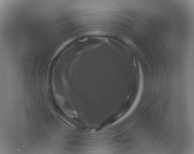 X0000062140484200512231509