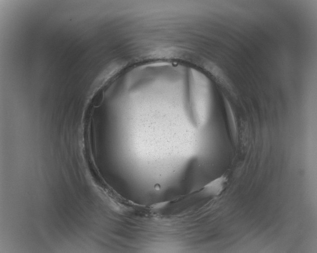 X0000062140486200512231509