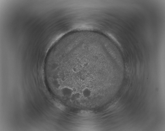 X0000062140487200512231509