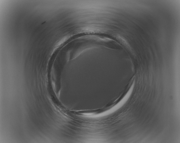 X0000062140488200512231509