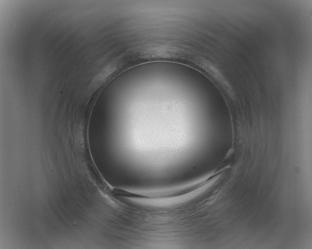 X0000062140489200512231509