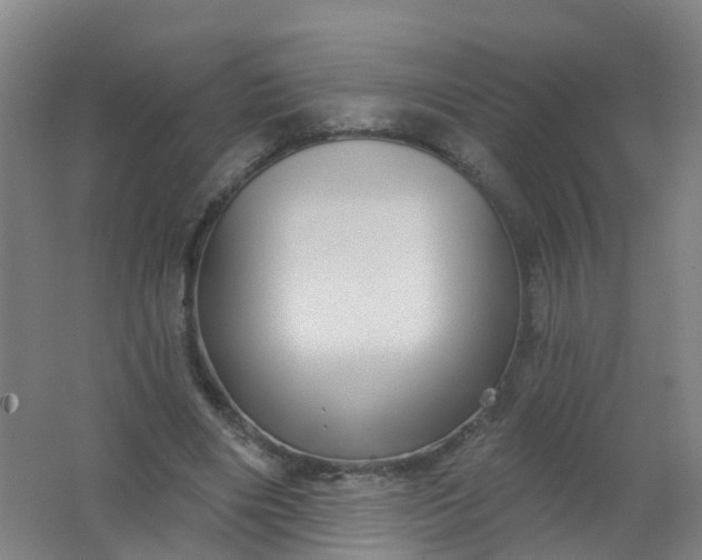 X0000062140490200512231509