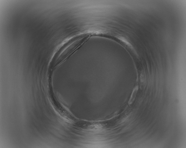 X0000062140492200512231509