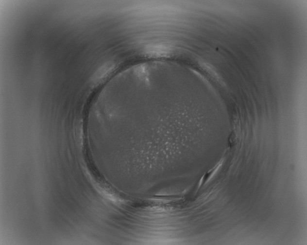 X0000062140494200512231509