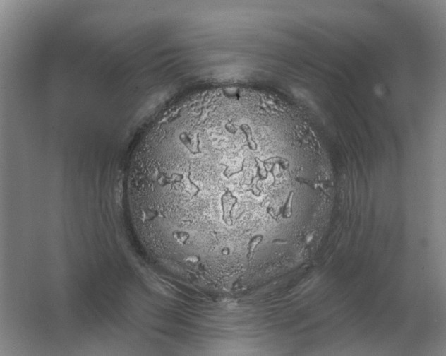 X0000062140495200512231509