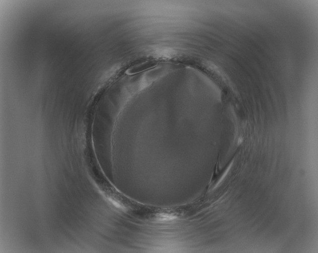 X0000062140496200512231509