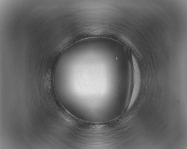 X0000062140497200512231509