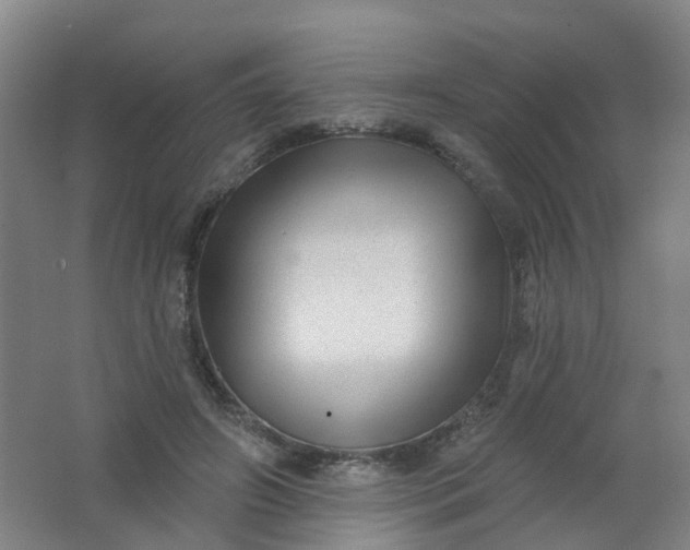 X0000062140498200512231509