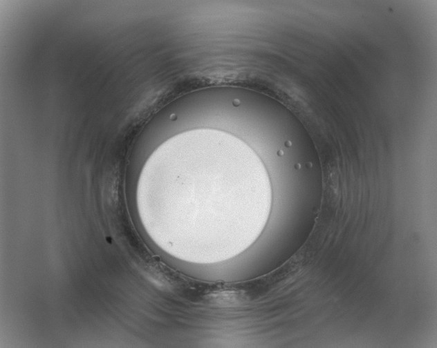 X0000062140499200512231509